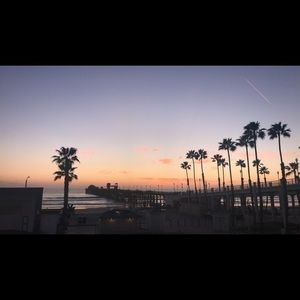 Meet your Posher, Jasmin